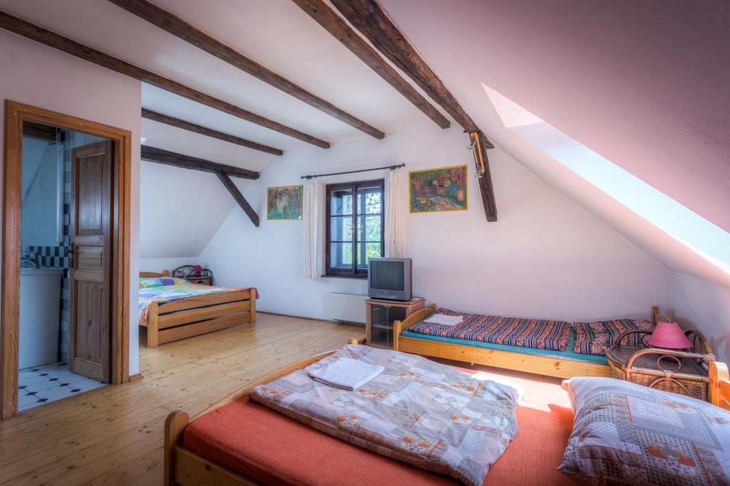 Penzion U Dracice Nova Bystrice Exterior foto